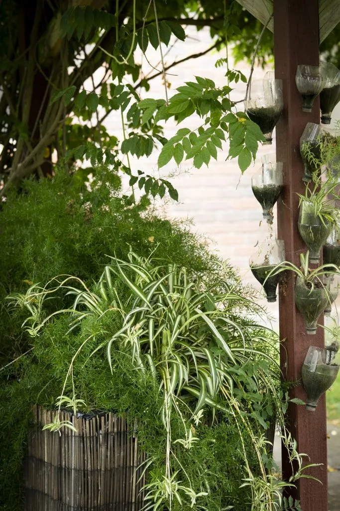 Attractive gardens at Gracevale Lodge