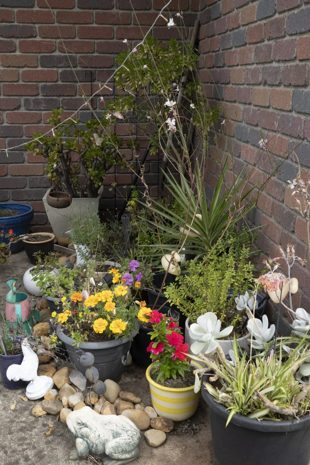 Dedicated resident garden spaces at Gracevale Lodge
